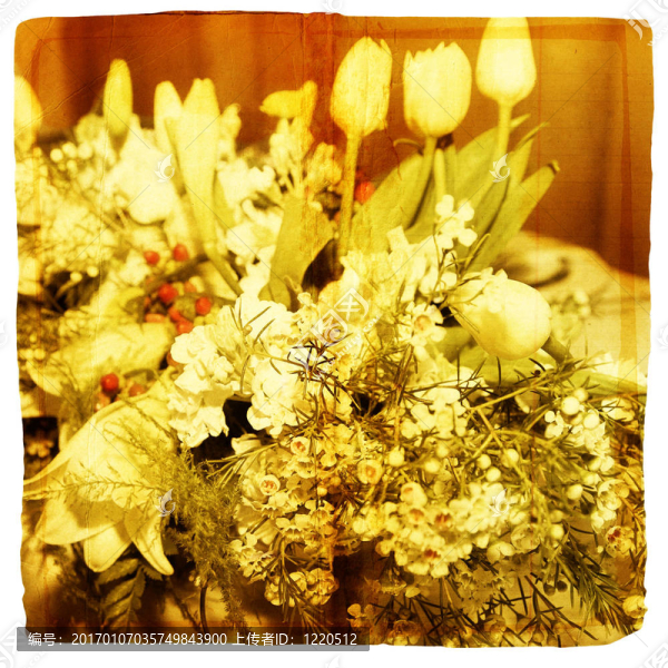春天的郁金香和百合花的背景
