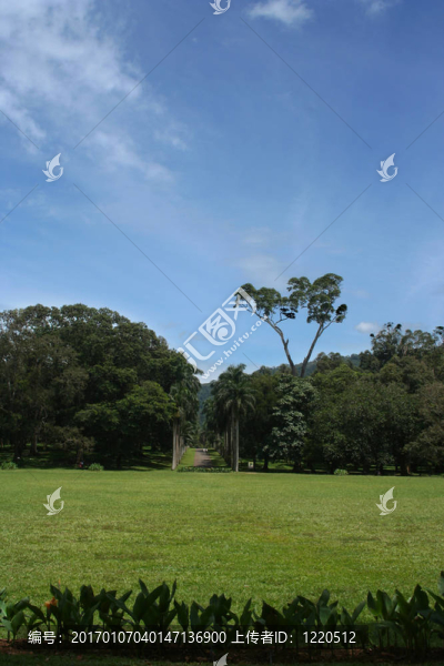 山上的風(fēng)景；藍(lán)天