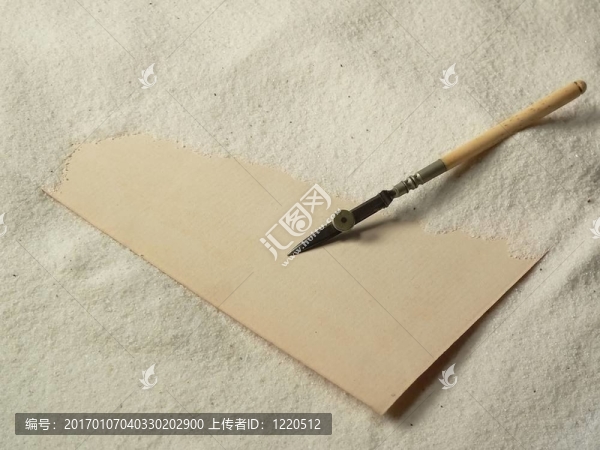 埋在沙子里