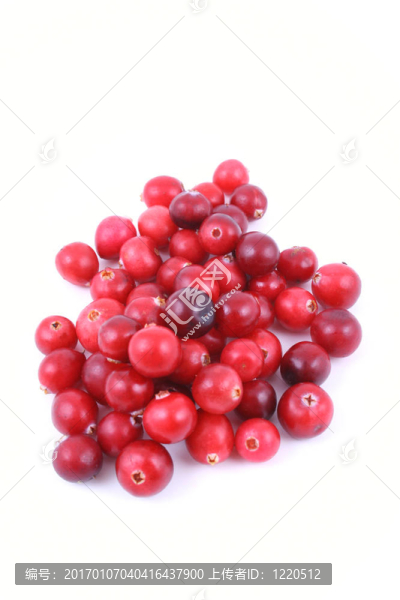 小紅莓