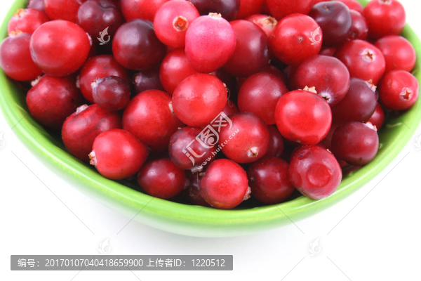 小紅莓