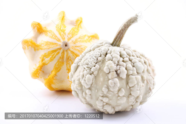 南瓜