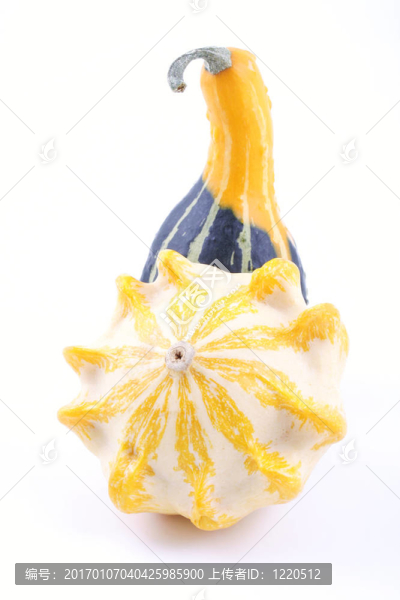 南瓜