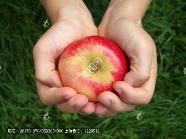 美味可口的紅蘋果