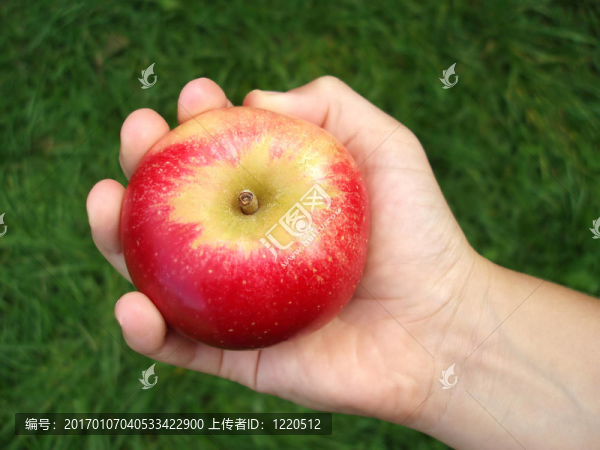 美味可口的紅蘋(píng)果
