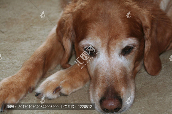 無聊的