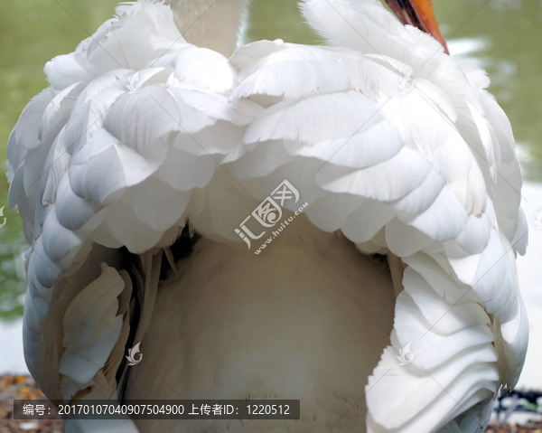 一游后