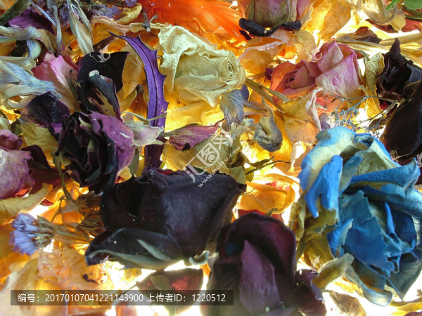 死flowerses