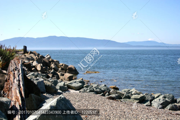 礁石海灘