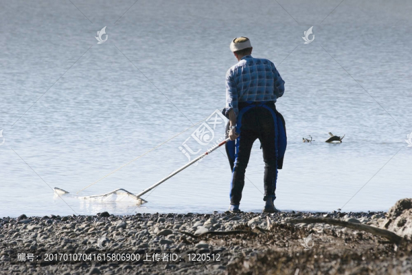 Whitebaiting,04