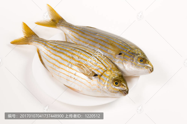 新鮮的魚