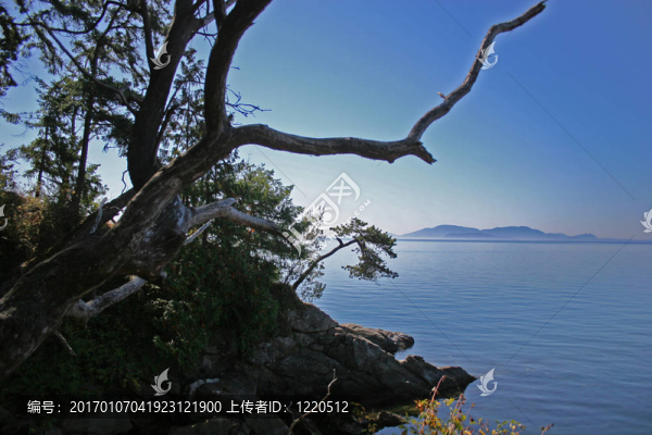 湖的岸邊
