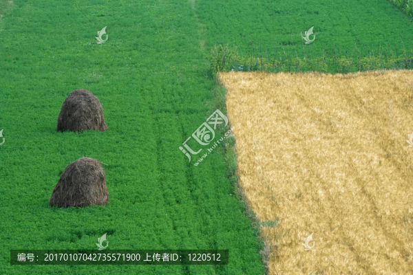 干草垛