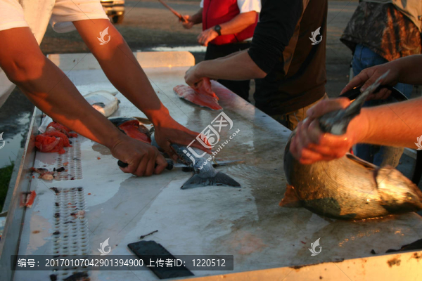 清洗三文魚