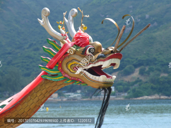 龍大