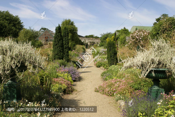 廚房花園在Glin