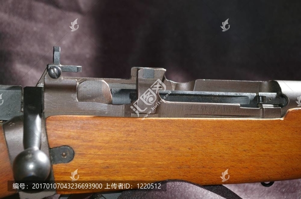 英國303步槍