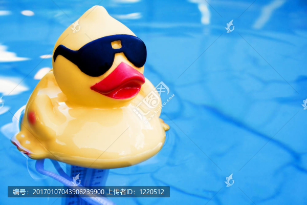橡膠鴨