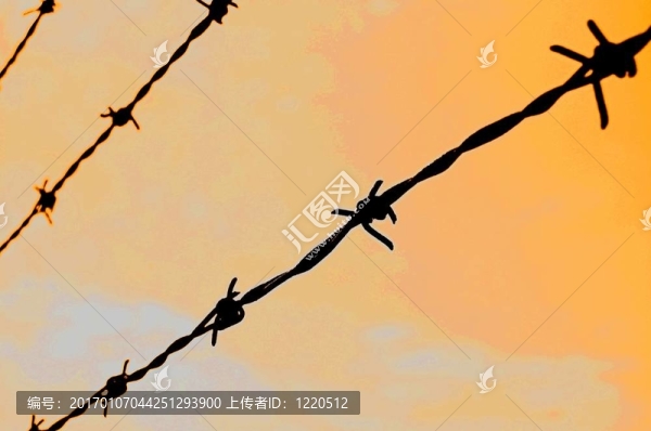 鐵絲網(wǎng)