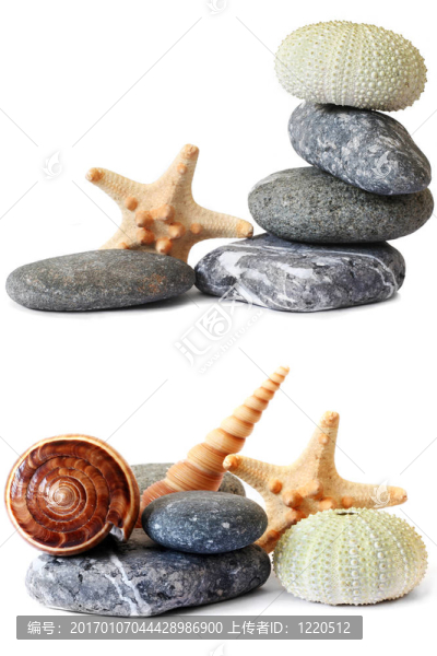 海濱的靜物
