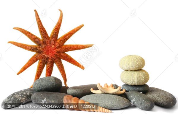 陽光海岸
