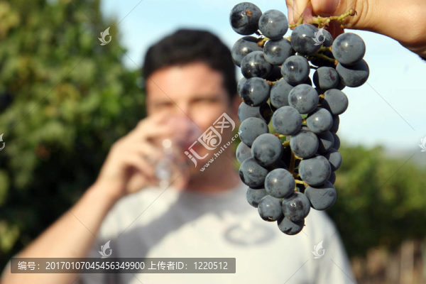 葡萄酒的品嘗