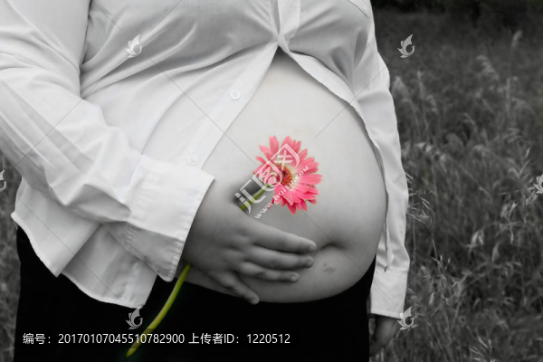 花肚皮