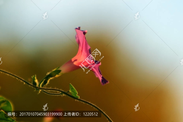 牽?；? title=