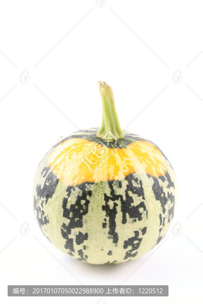 南瓜