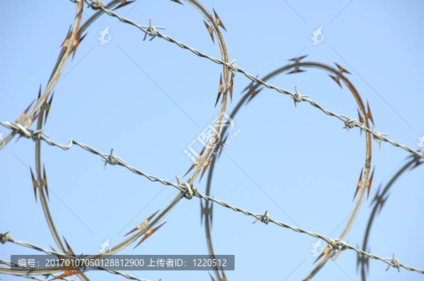 鐵絲網(wǎng)1