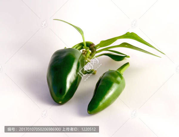 胡椒