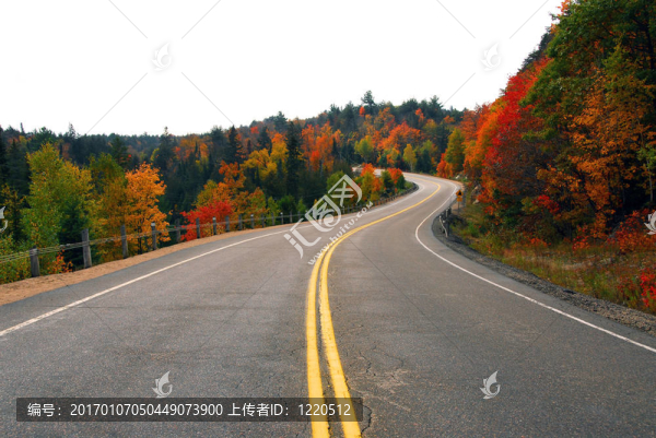 秋天的公路