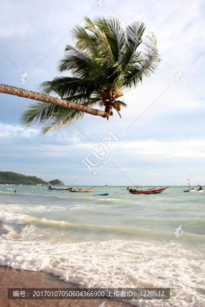 熱帶風(fēng)暴-匯圖網(wǎng) www.fosd68.com 熱帶風(fēng)暴