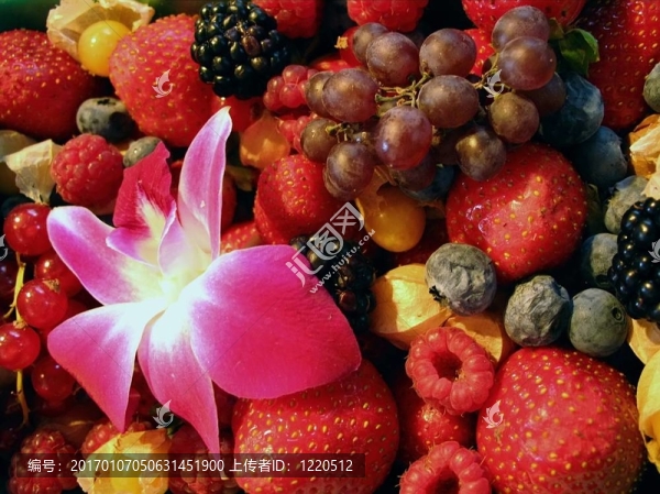 在農(nóng)貿(mào)市場的漿果和花卉