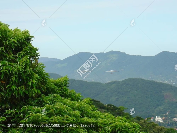 在懸掛滑翔