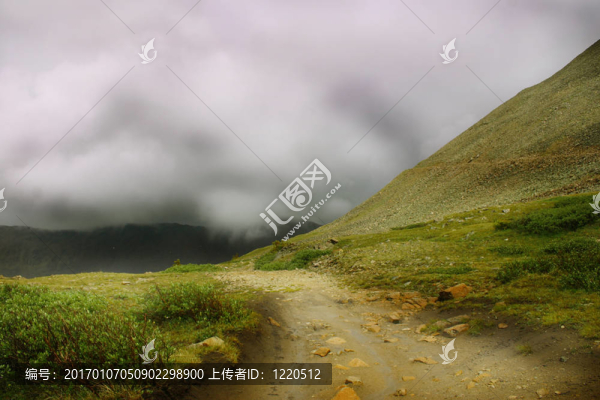 霧蒙蒙的路