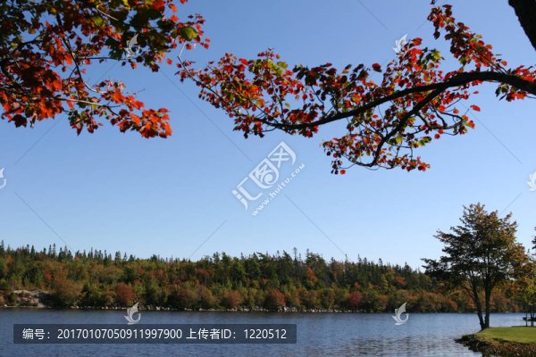 自然stillife