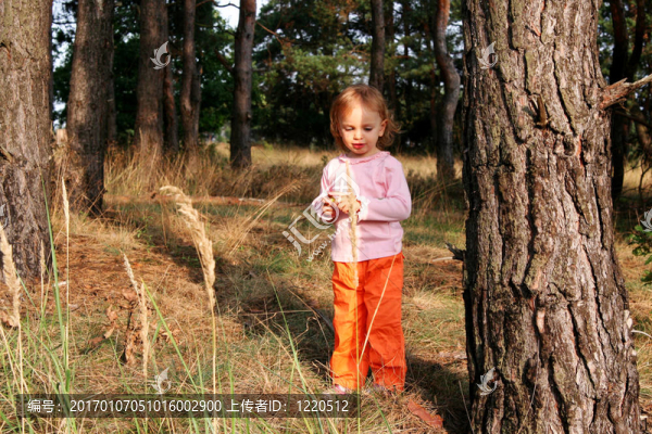 在森林里