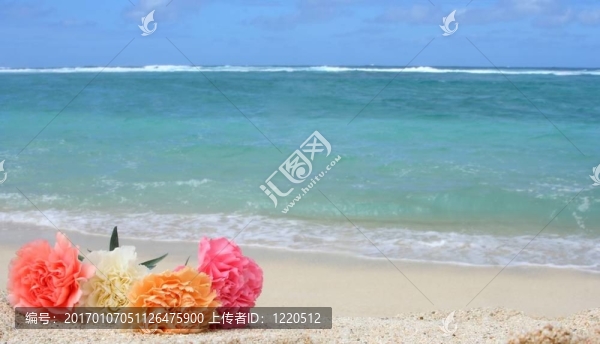 海灘上的花