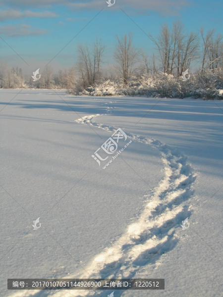 雪鞋步道