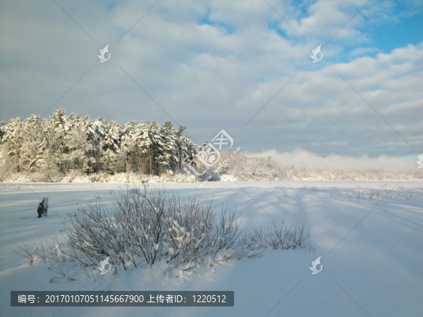 冬天的風(fēng)景