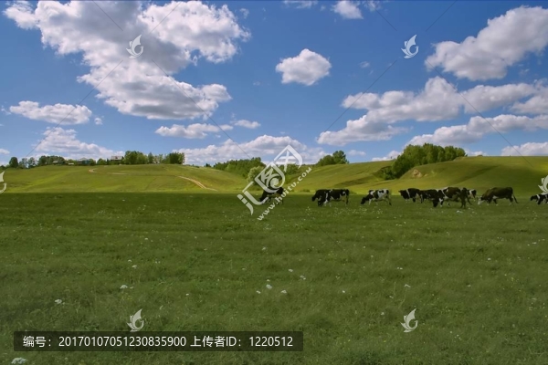 夏天的景色