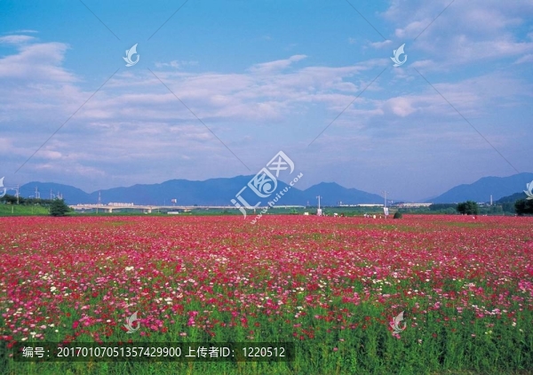 戶外的風(fēng)景