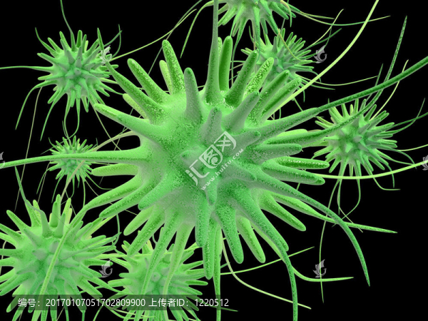 3d微生物4
