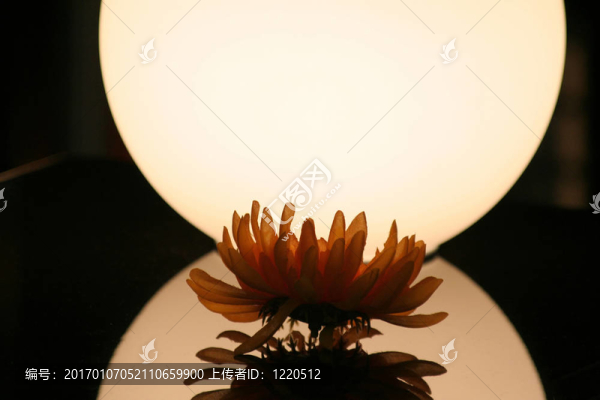 花與光