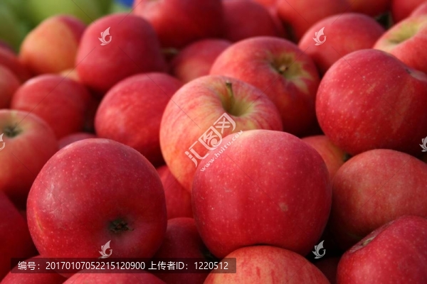 嘎拉蘋果