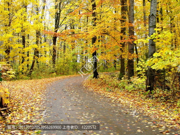 秋天的鄉(xiāng)村道路