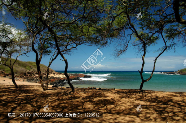 熱帶海灘