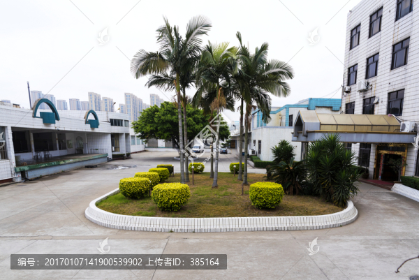 廠區(qū)綠化