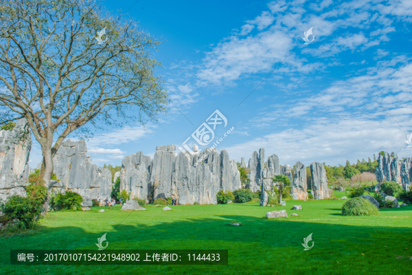 云南,石林